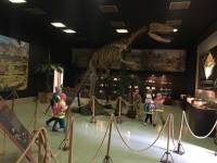 Zatorland - relacja.