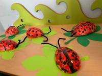 Gr. Smerfy: Biedroneczki są w kropeczki.