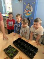 Gr. Smerfy: Nasz przedszkolny mini ogródek.