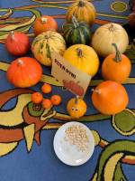 Gr. Smerfy: Dzień Dyni